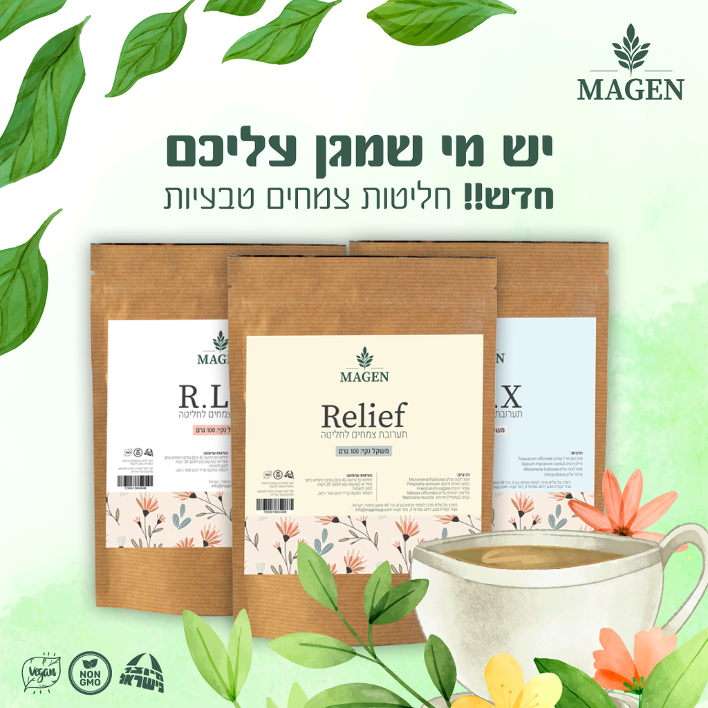 החליטות החדשות של מגן