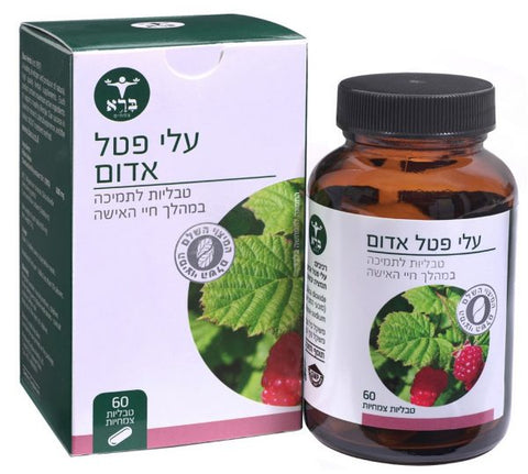 ברא צמחים - עלי פטל אדום - 60 טבליות